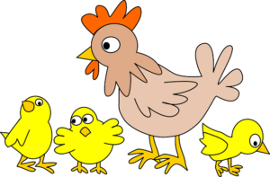 Ilustrasi Penggemukan Ayam